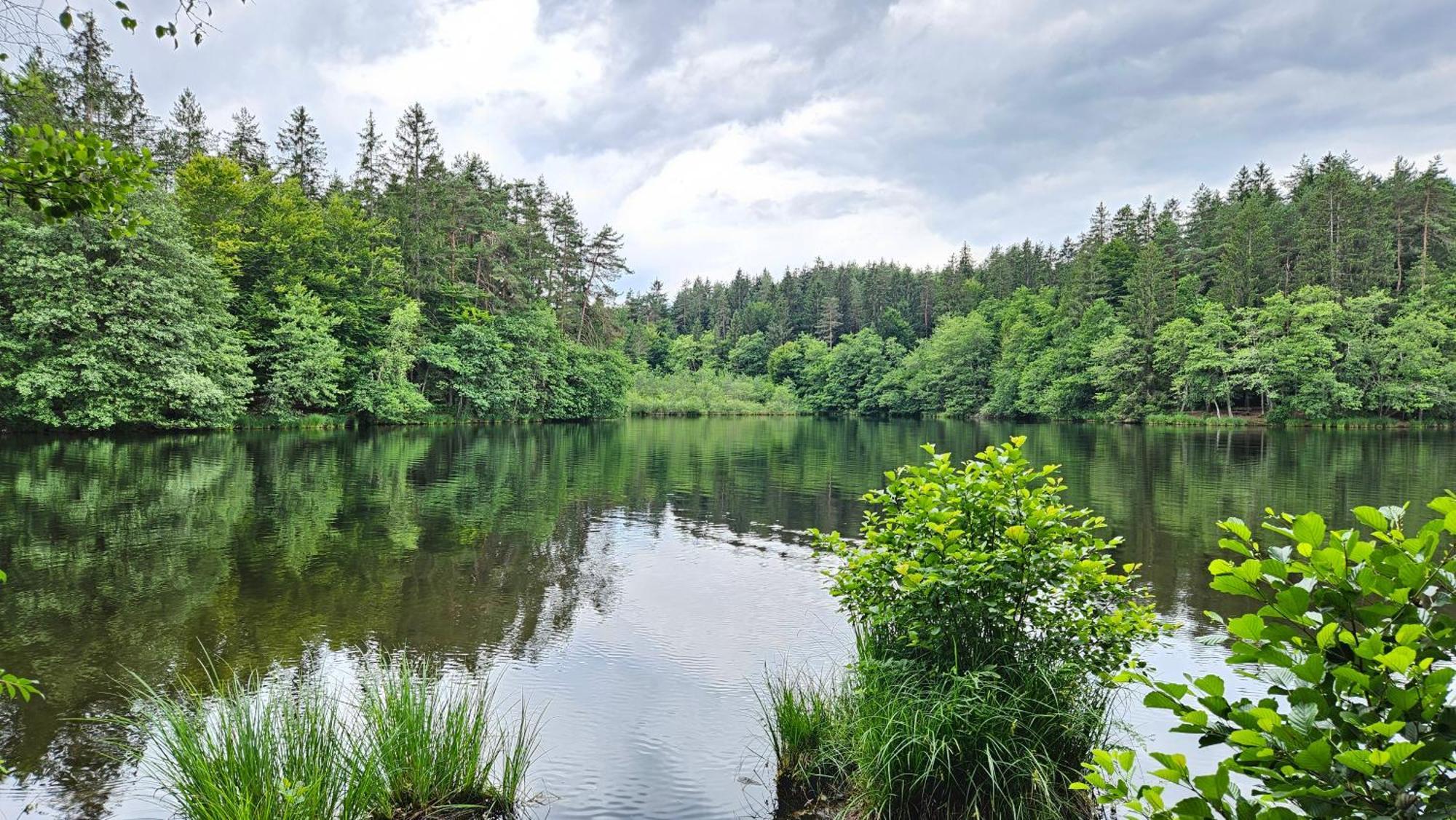 "Casa Antonio" 3 Gehminuten Strandbad Sekirn, Inkl Seezugang Esterno foto