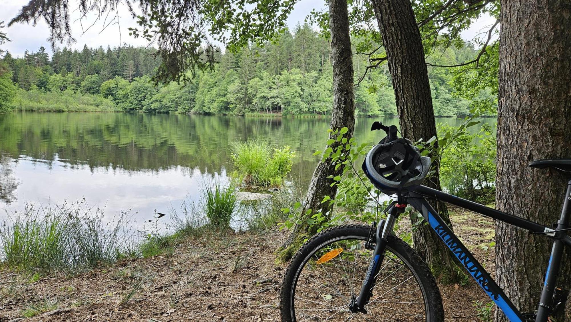 "Casa Antonio" 3 Gehminuten Strandbad Sekirn, Inkl Seezugang Esterno foto