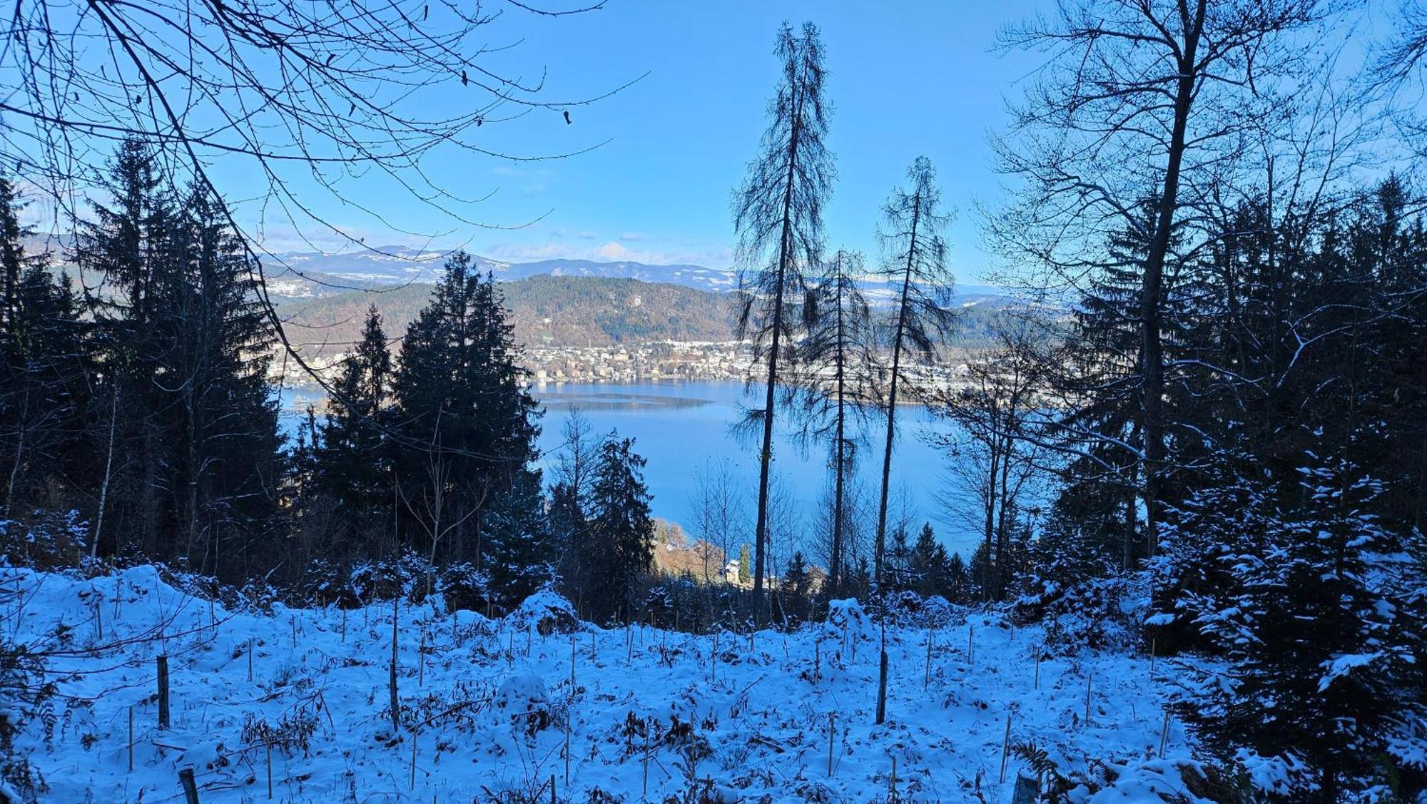 "Casa Antonio" 3 Gehminuten Strandbad Sekirn, Inkl Seezugang Esterno foto